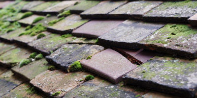 Ravensden roof repair costs